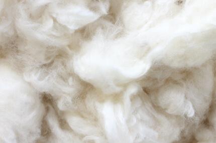 Sonata Raw materials: Organic cotton