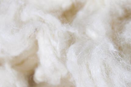 Tonique Raw materials: Lamb's wool