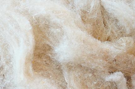 Sonata Raw materials: Tussah Silk